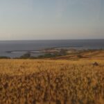 Ranch in Hawaii on the Big Island